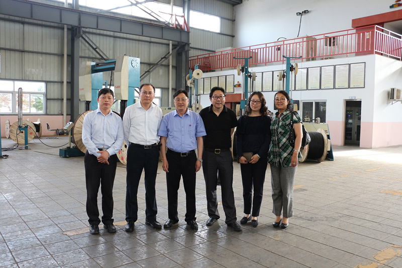 信号电缆 信号电缆